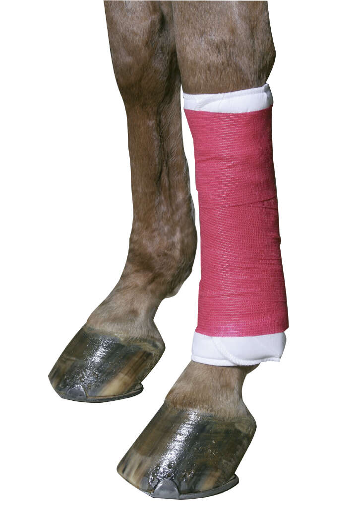 KERBL Equilastic Bandage